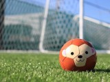 親子サッカー教室